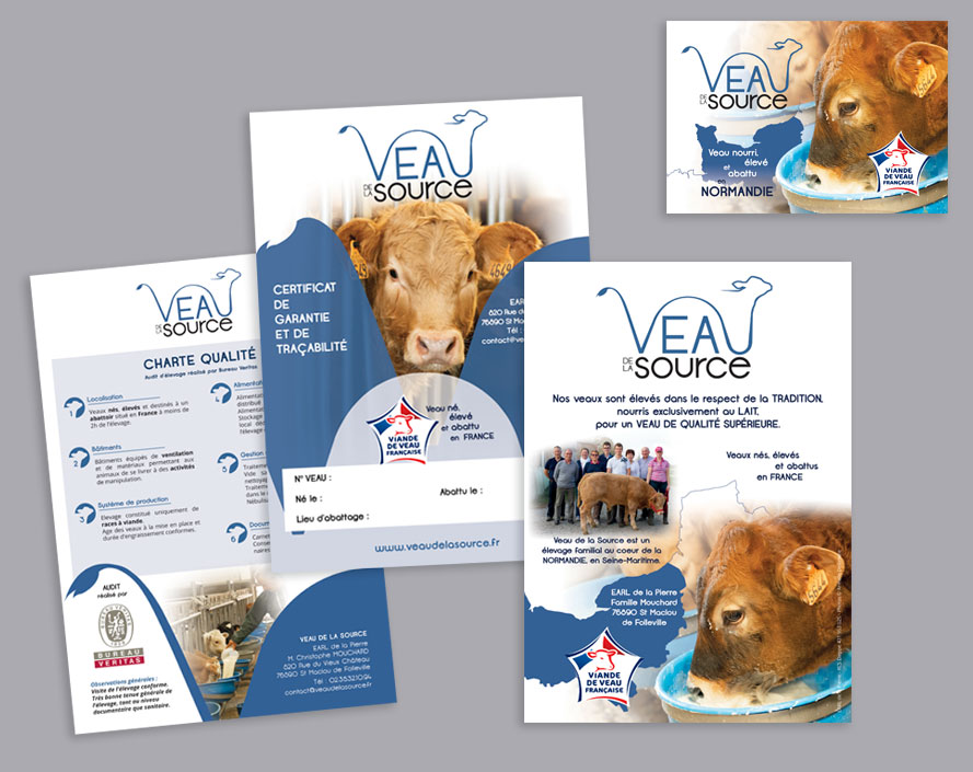 Création de flyer, carte, visuels tous supports - Delphine Levacher Graphiste Webdesigner freelance